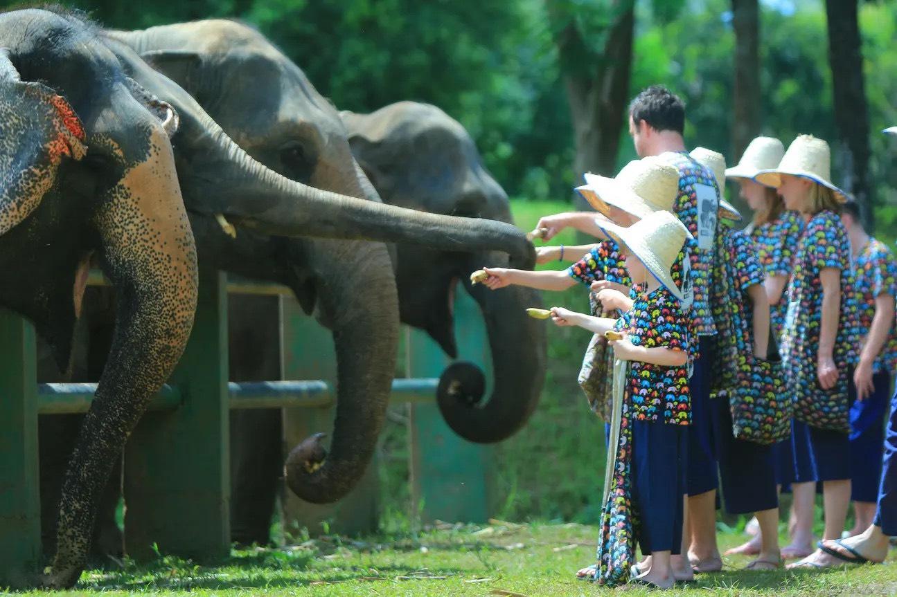 Experience Mae Taeng’s heritage with guided tours